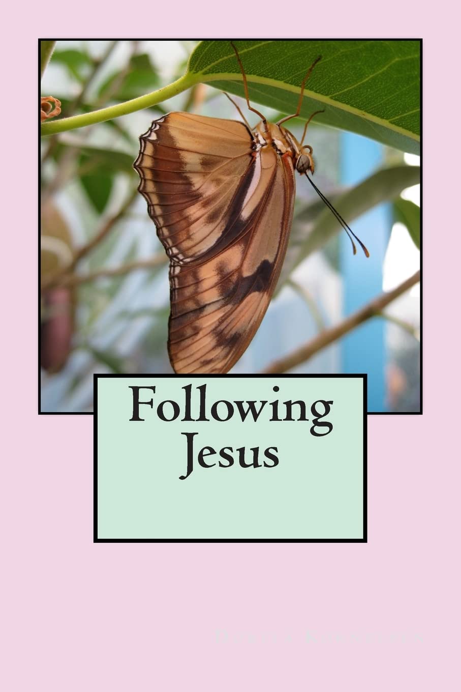 Following Jesus Religion & Esotericism