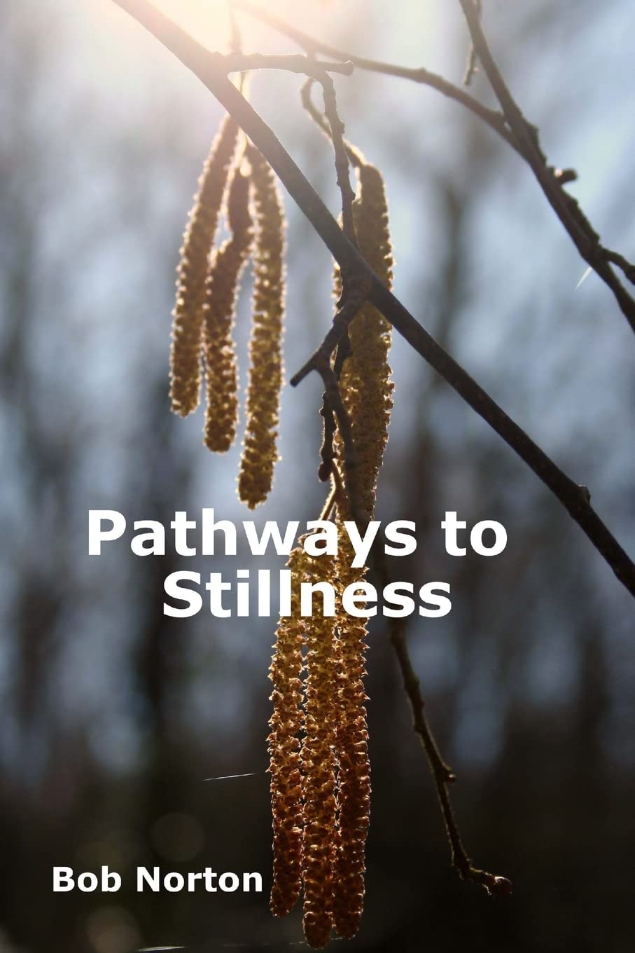 Pathways to Stillness: Removing the Layers of Illusion Self-help