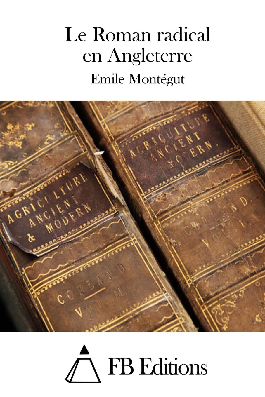 Le Roman radical en Angleterre Classics