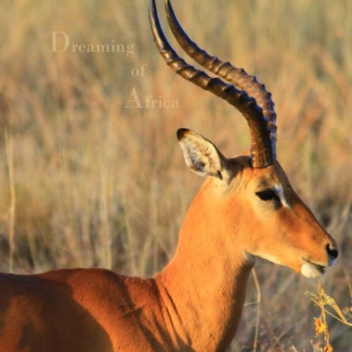 Notizbuch / Tagebuch - quadratisch - "Dreaming of Africa": "sei UNIQUE, schreibe SQUARE" Lifestyle