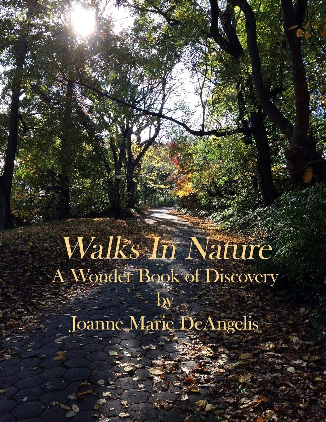 Walks in Nature: A Wonder Book of Discovery Poetry