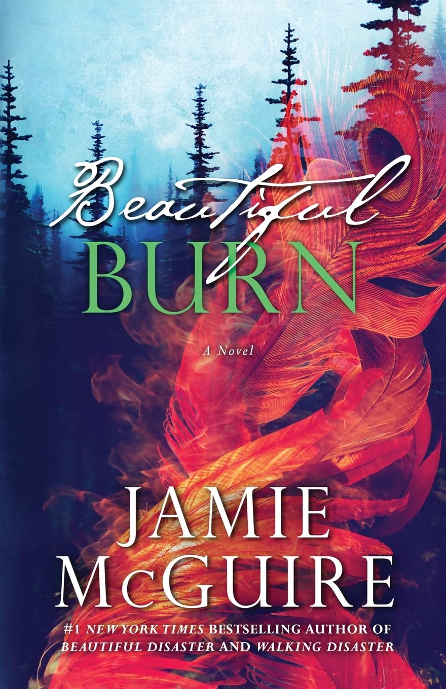 Beautiful Burn: A Novel (The Maddox Brothers, Band 4) New Adult