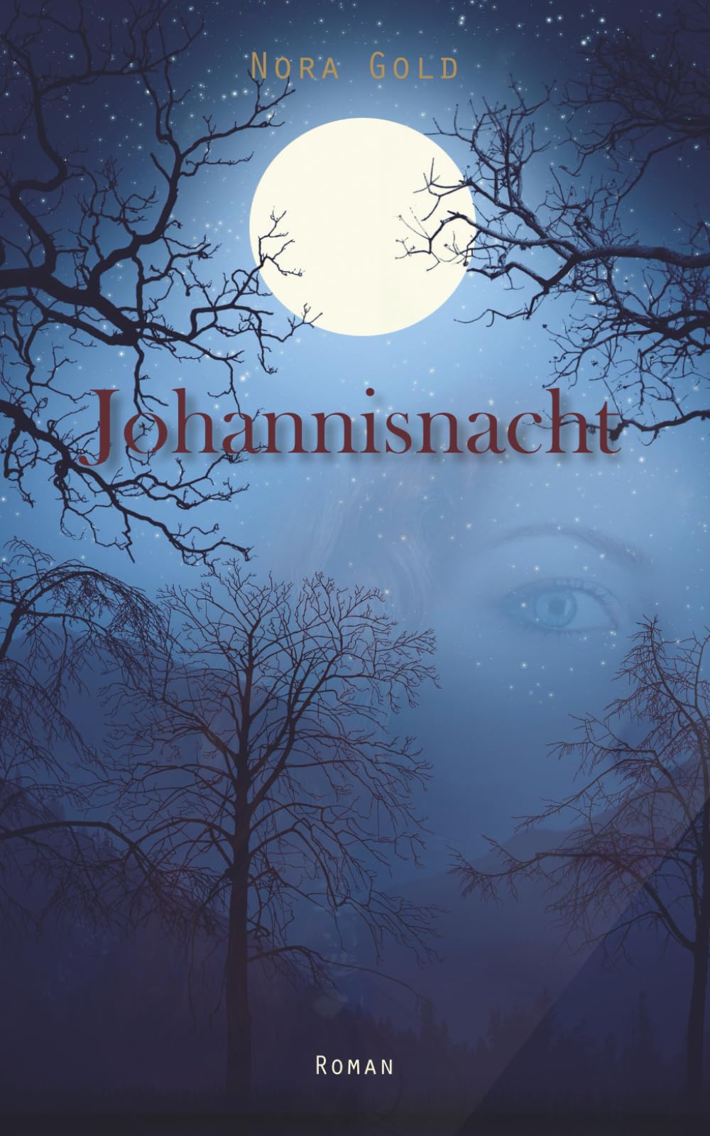 Johannisnacht: Mystery-Thriller German history