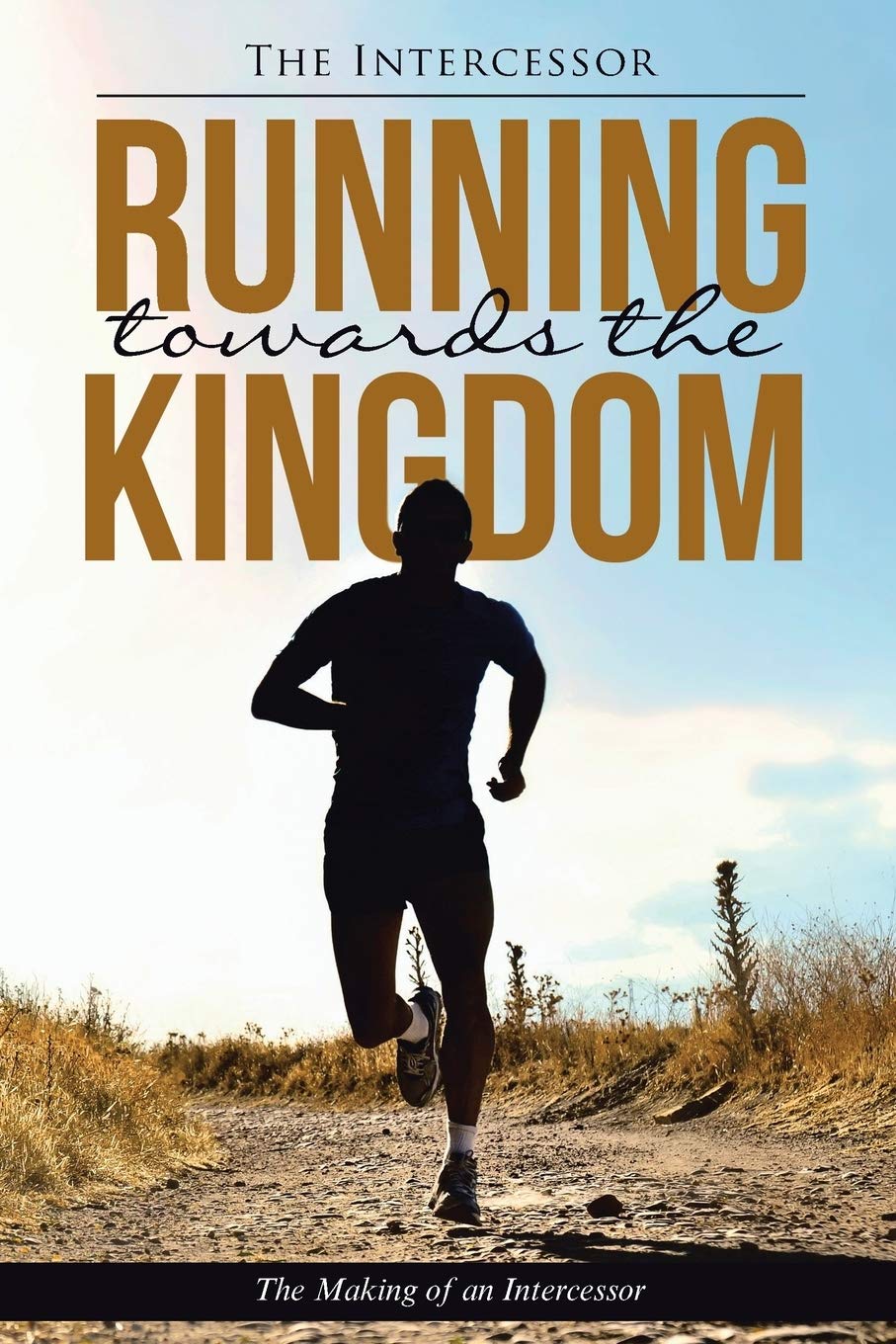 Running towards the Kingdom: The Making of an Intercessor Politics & Society