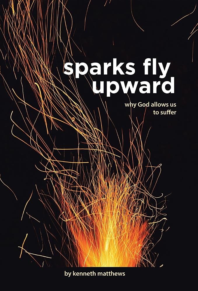 Sparks Fly Upward: Why God Allows Us to Suffer Religion & Esotericism