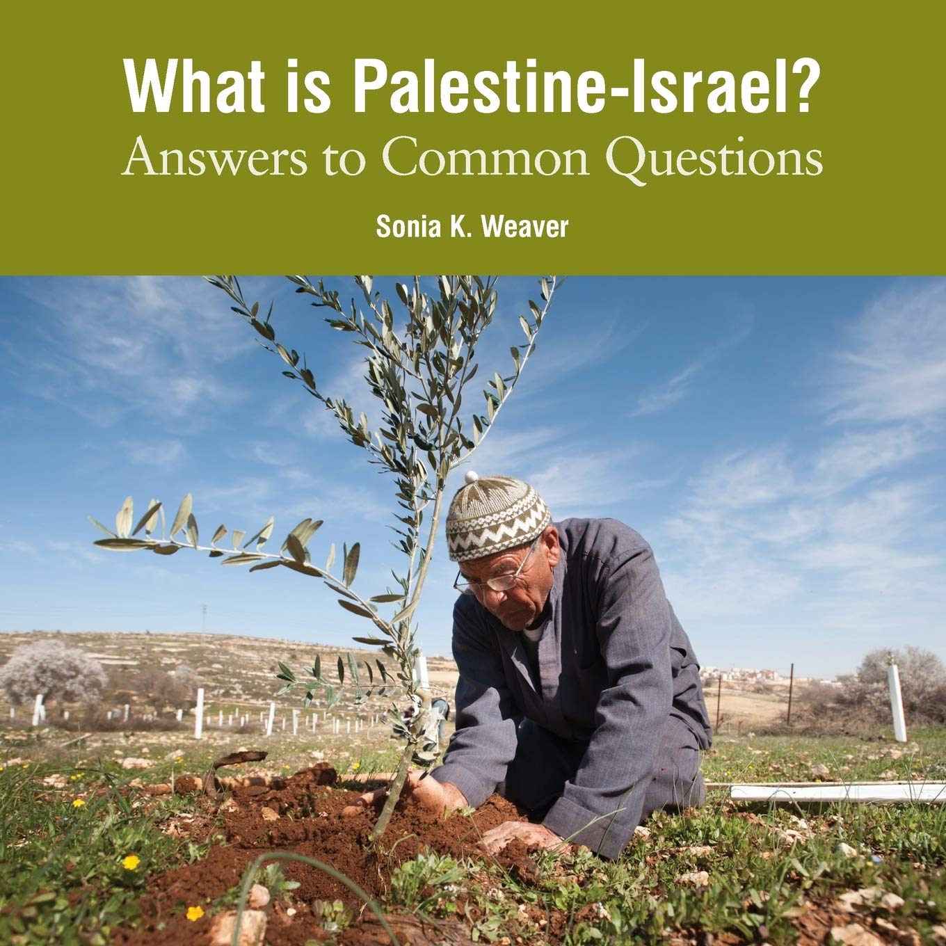 What Is Palestine-israel?: Answers to Common Questions Religion & Esotericism