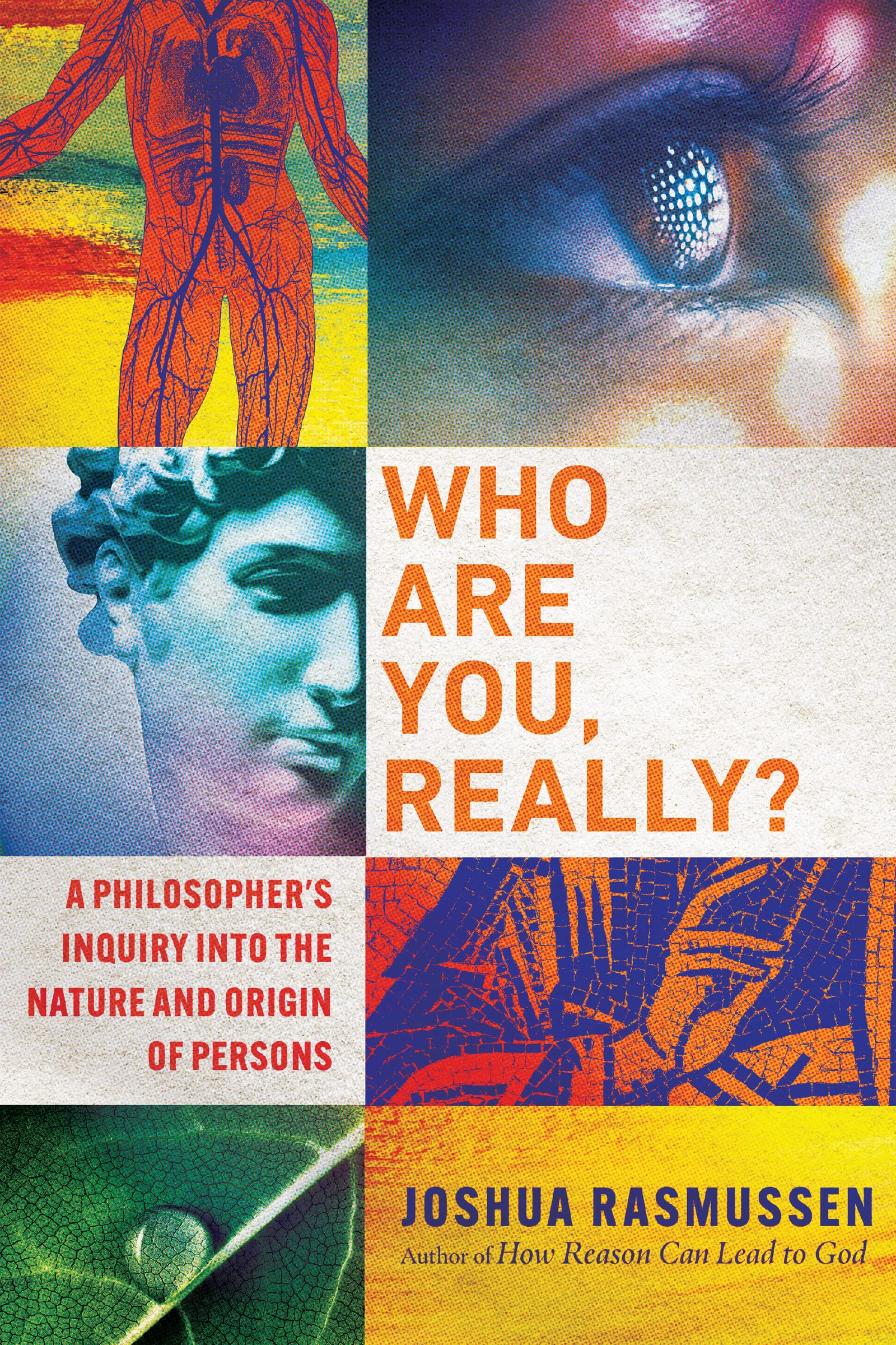 Who Are You, Really?: A Philosopher's Inquiry into the Nature and Origin of Persons Philosophy