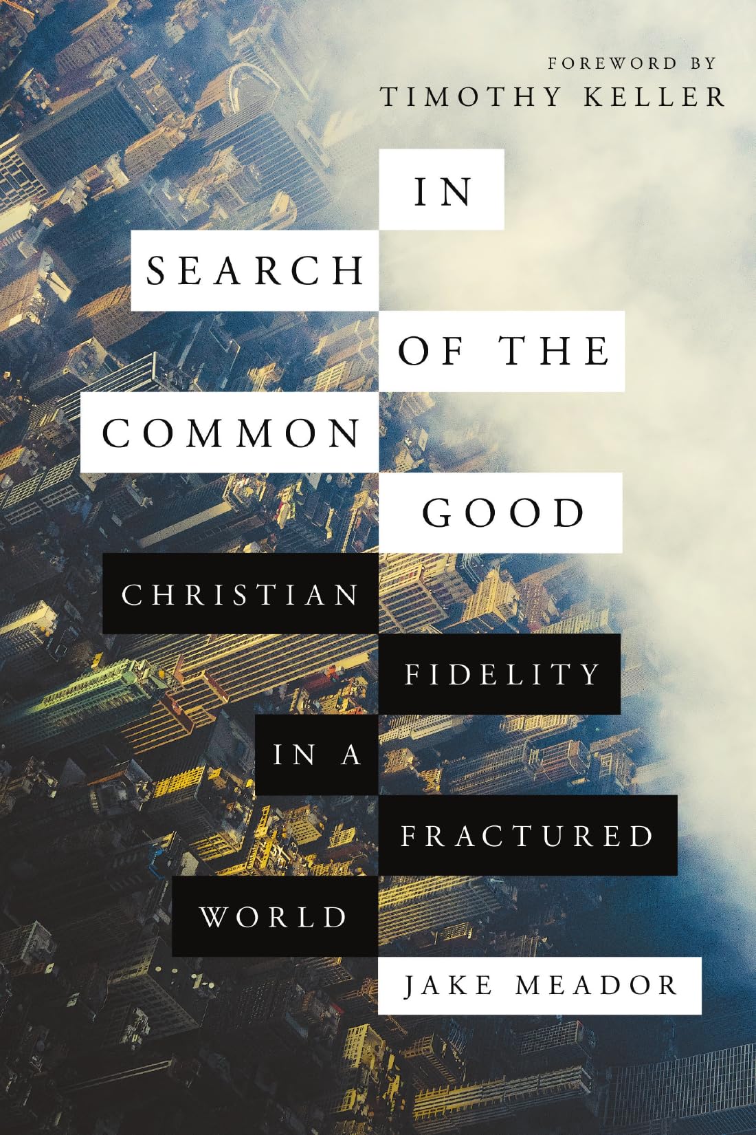 In Search of the Common Good Philosophy