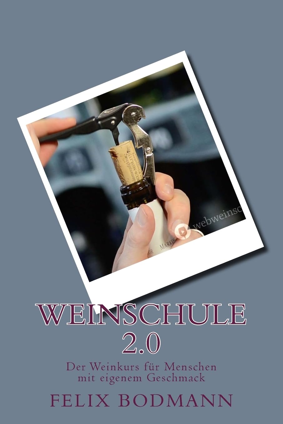 Weinschule 2.0: Der Weinkurs für Menschen mit eigenem Geschmack Leisure, Home & Garden