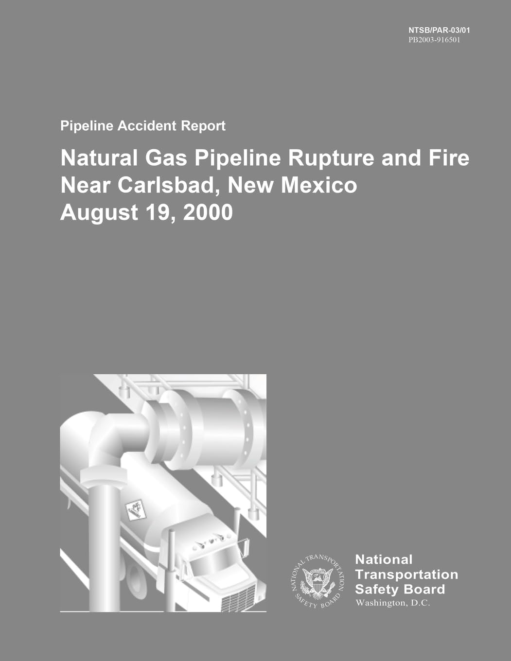 Pipeline Accident Report: Natural Gas Pipeline Rupture and Fire Near Carlsbad, New Mexico August 19, 2000 (Pipeline Accident Reports) Reference Books