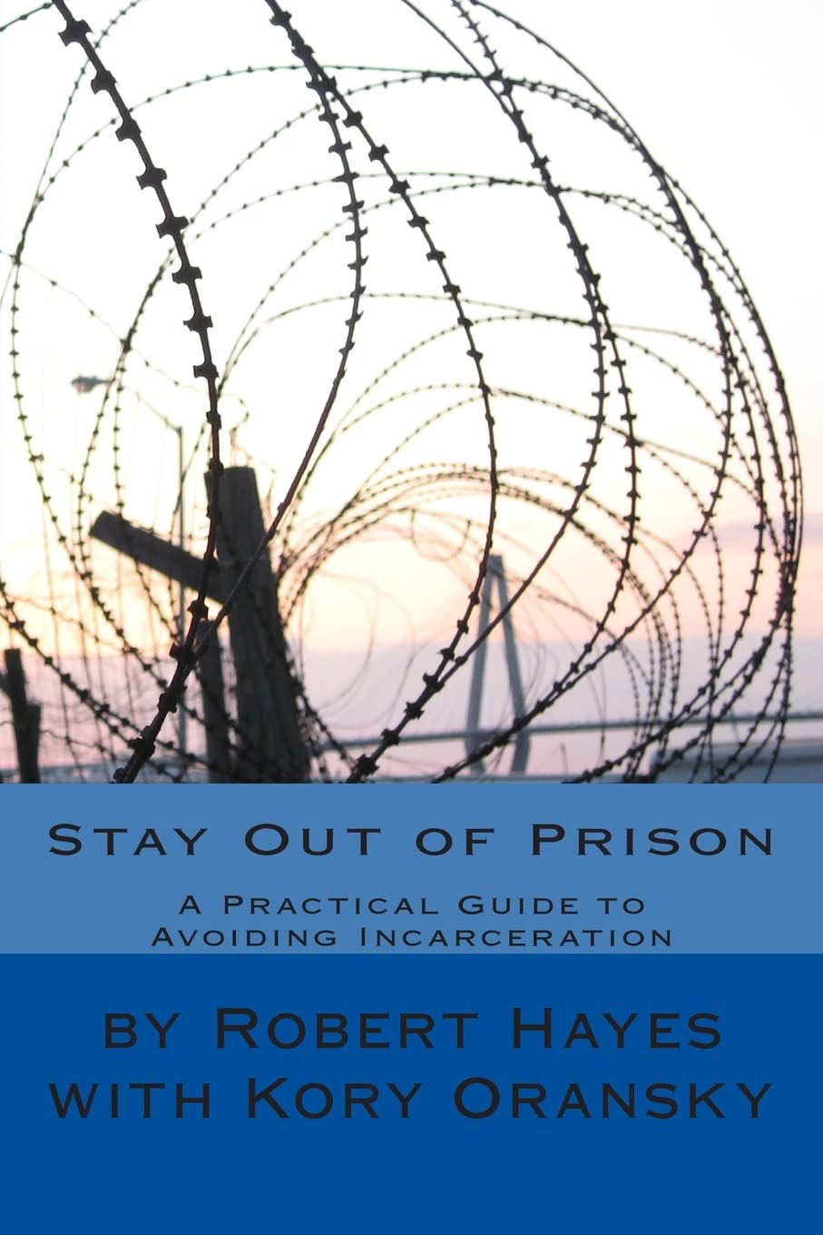 Stay Out of Prison: A Practical Guide to Avoiding Incarceration Self-help