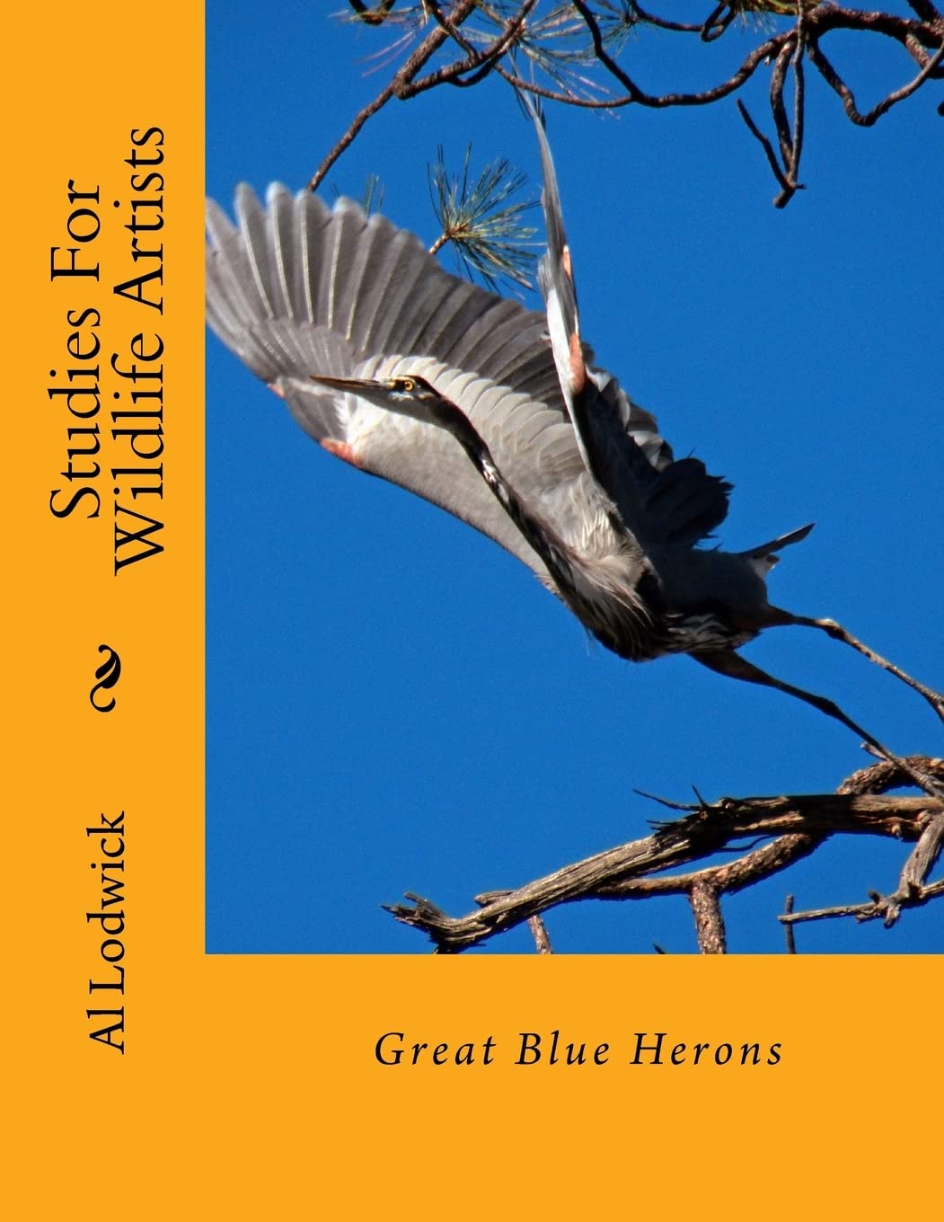 Great Blue Herons: Studies For Wildlife Artists Film, Art & Culture