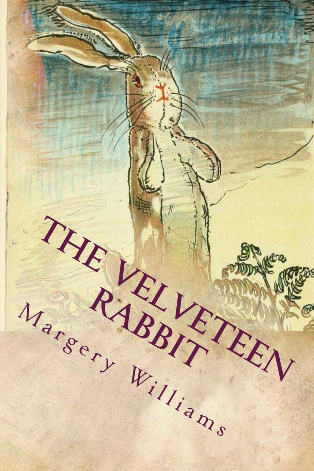 The Velveteen Rabbit: Illustrated Novels & Short Stories