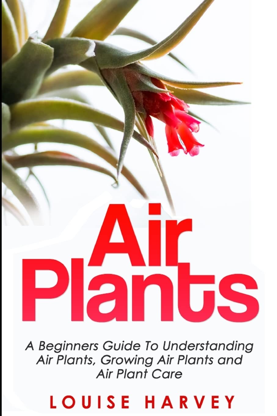 Air Plants: A Beginners Guide To Understanding Air Plants, Growing Air Plants and Air Plant Care (Booklet) book