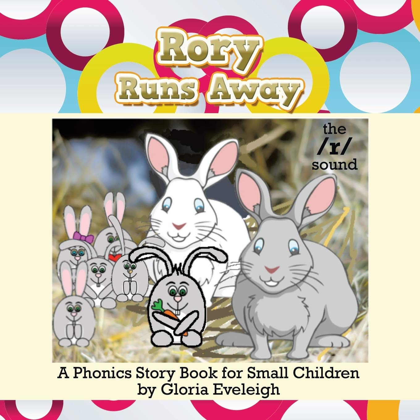 Rory Runs Away: A Phonics Story Book for Small Children Novels & Short Stories