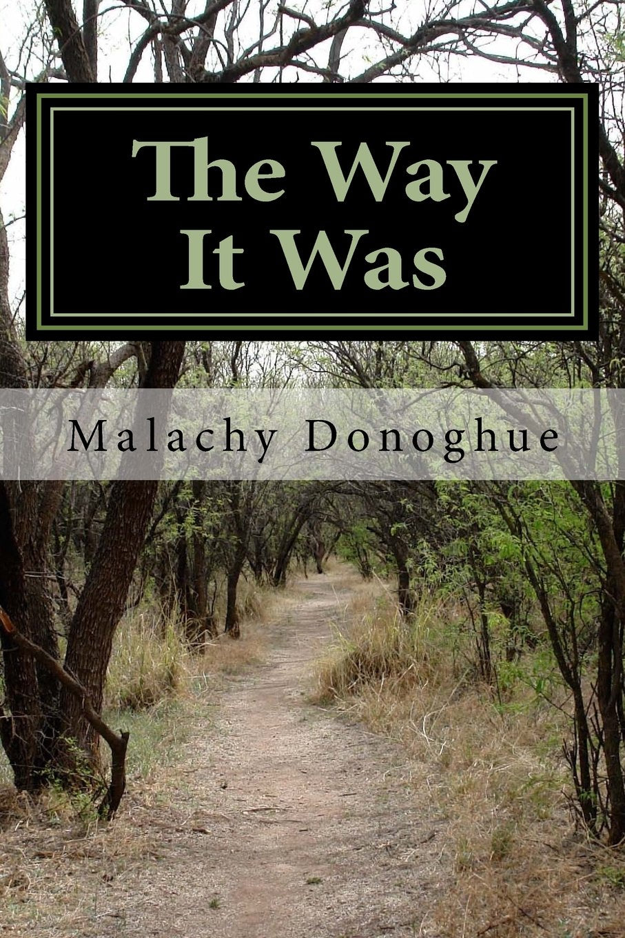 The Way It Was: An Irish immigrant's adventures that led him on his journey from Ireland to find his home. Memories