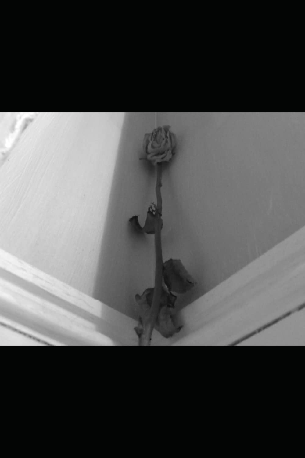 Flowers of Dionysus Urban Fantasy