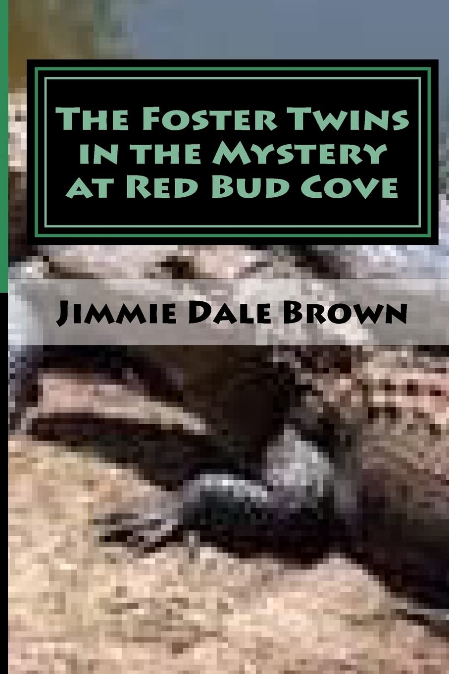 The Foster Twins in the Mystery at Redbud Cove: The Mysterious Ring (The Foster Twins Myseries, Band 3) Novels & Short Stories
