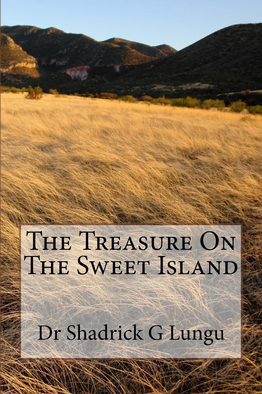 The Treasure On The Sweet Island Contemporary Romance