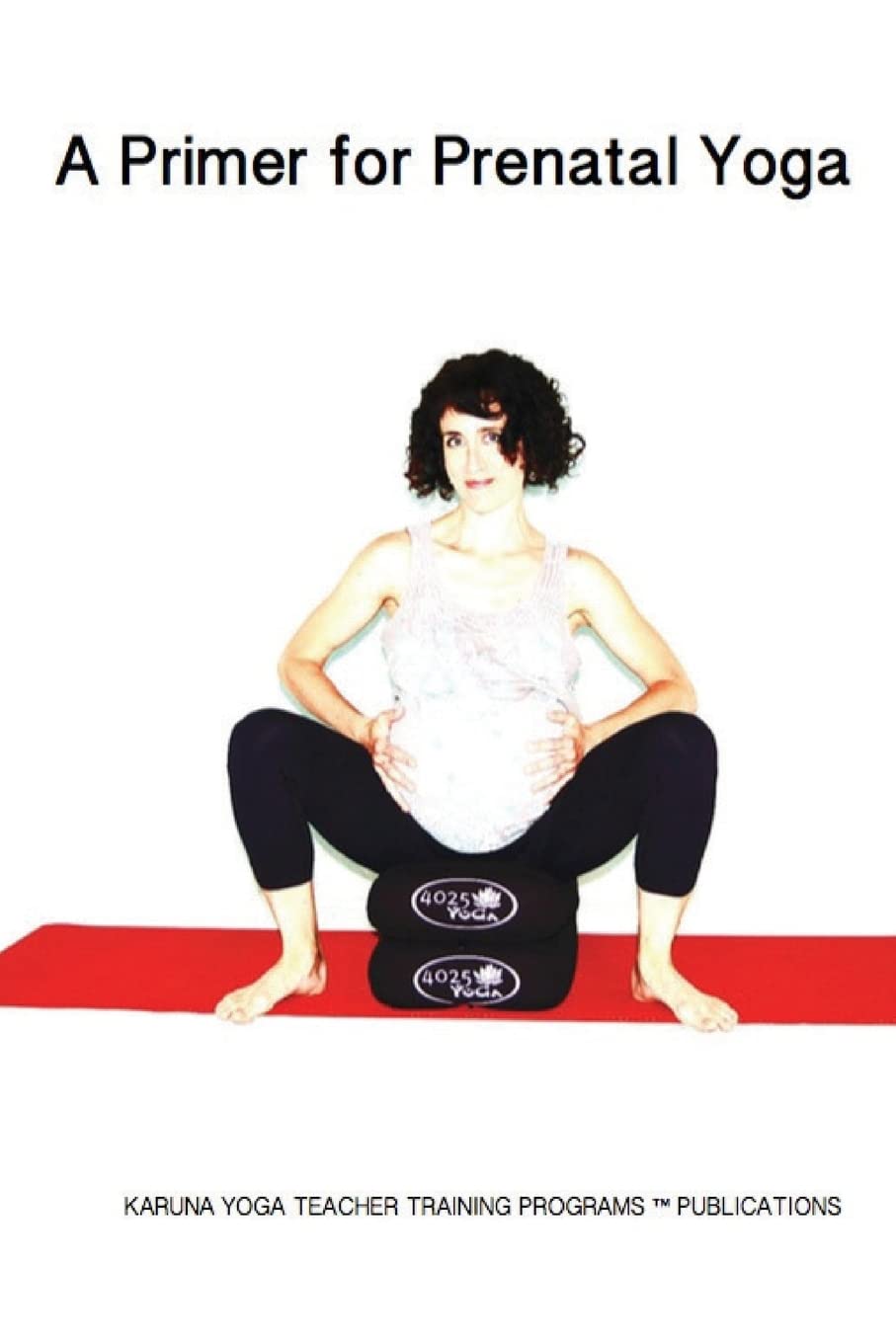 A Primer for Prenatal Yoga: Adaptations and Modifications for Teaching Yoga To Pregnant Students (KARUNA Yoga Teacher Training Programs Publictaions, Band 2) Learning & Reference