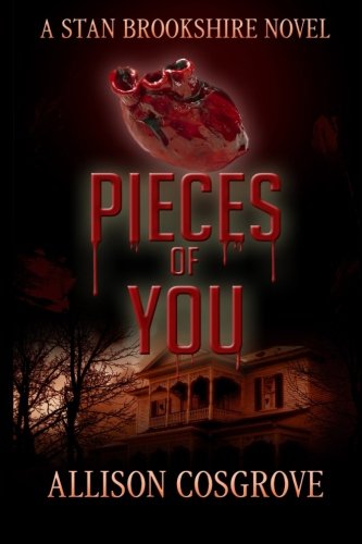 Pieces of You (Stan Brookshire Novels, Band 4) Detective & CSI