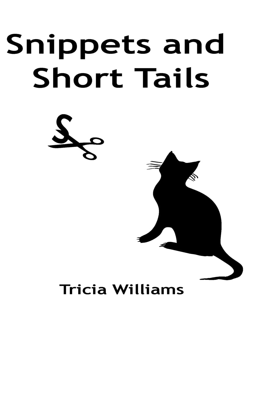 Snippets and Short Tails: A collection of short stories and thoughts Essays & Short Stories