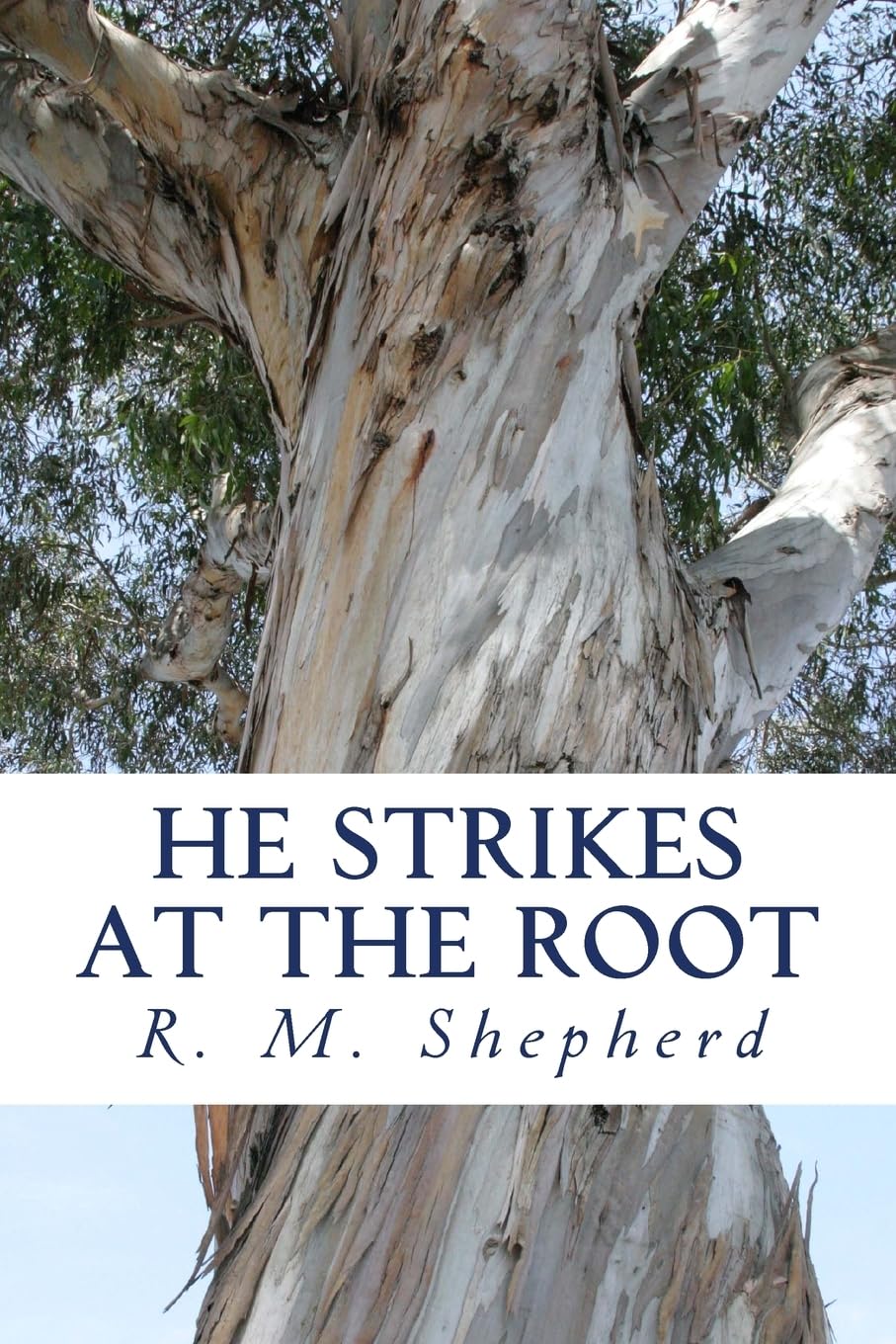 He Strikes at the Root: John Knox in Tudor England Religion & Esotericism