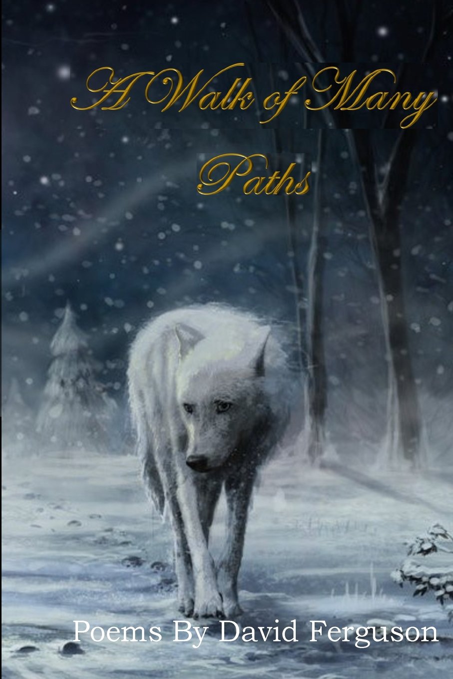A Walk of Many Paths Poetry