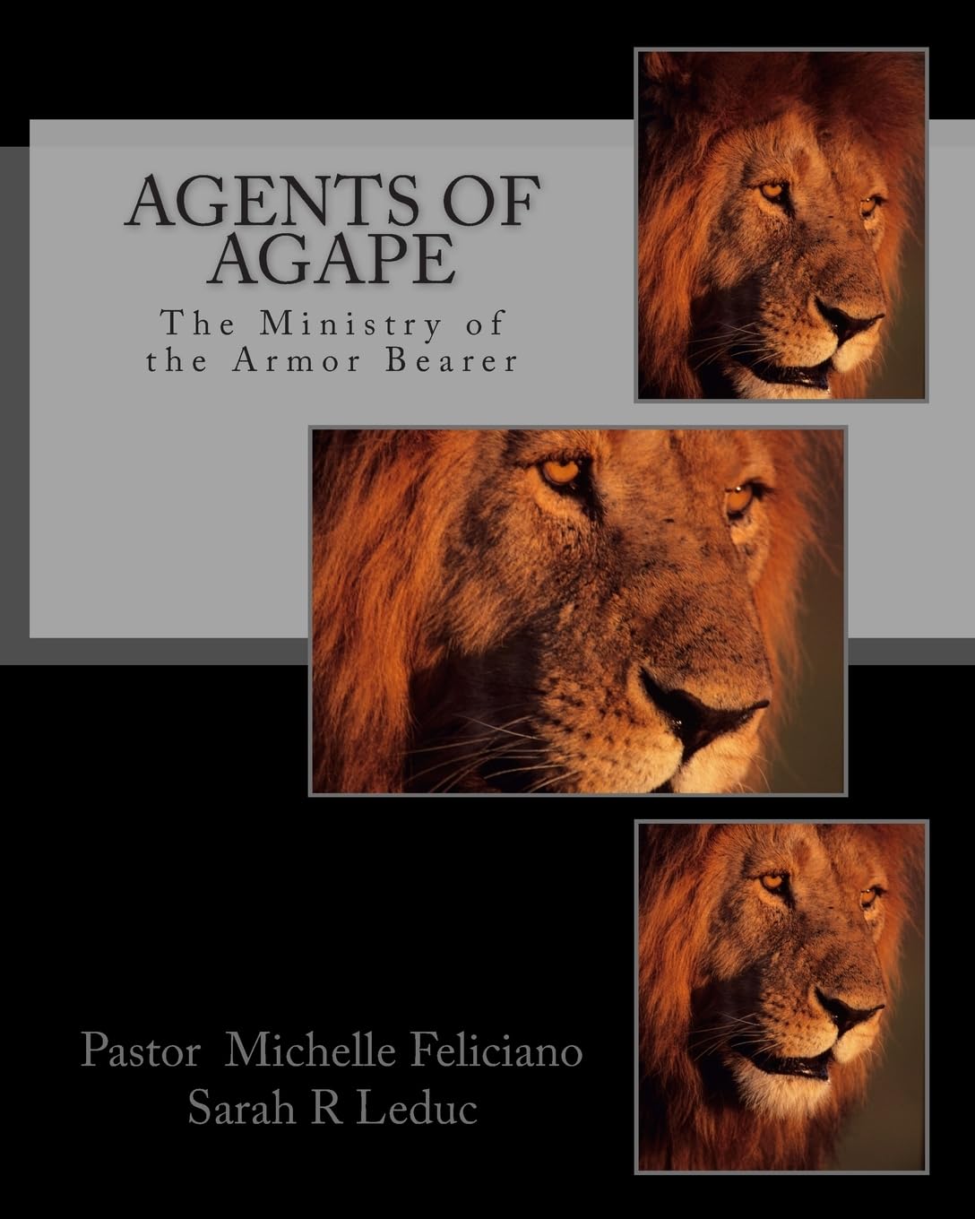 Agents of Agape: The Ministry of the Armor Bearer Religion & Esotericism
