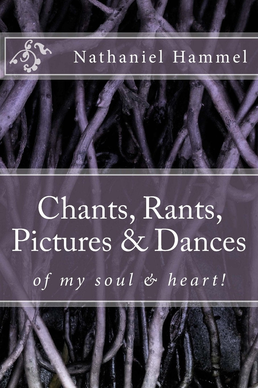 Chants, Rants, Pictures & Dances: of my my soul & heart! (Broken Diary, Band 1) Contemporary literature
