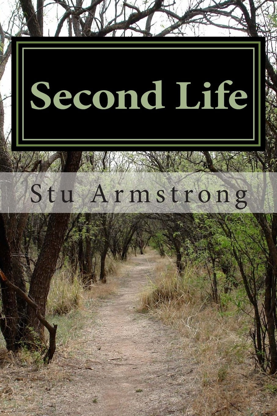 Second Life: Life revisited in modern poetry Poetry