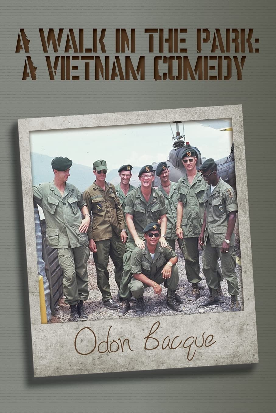 A Walk in the Park: A Vietnam Comedy Memories