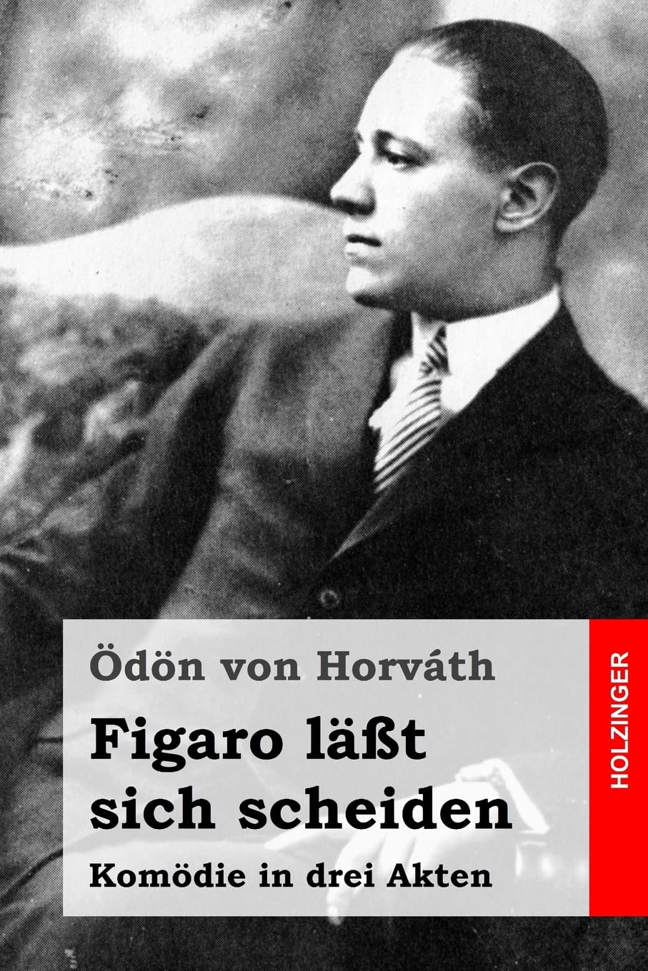 Figaro läßt sich scheiden: Komödie in drei Akten book