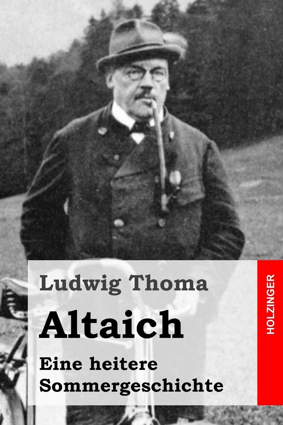 Altaich: Eine heitere Sommergeschichte book