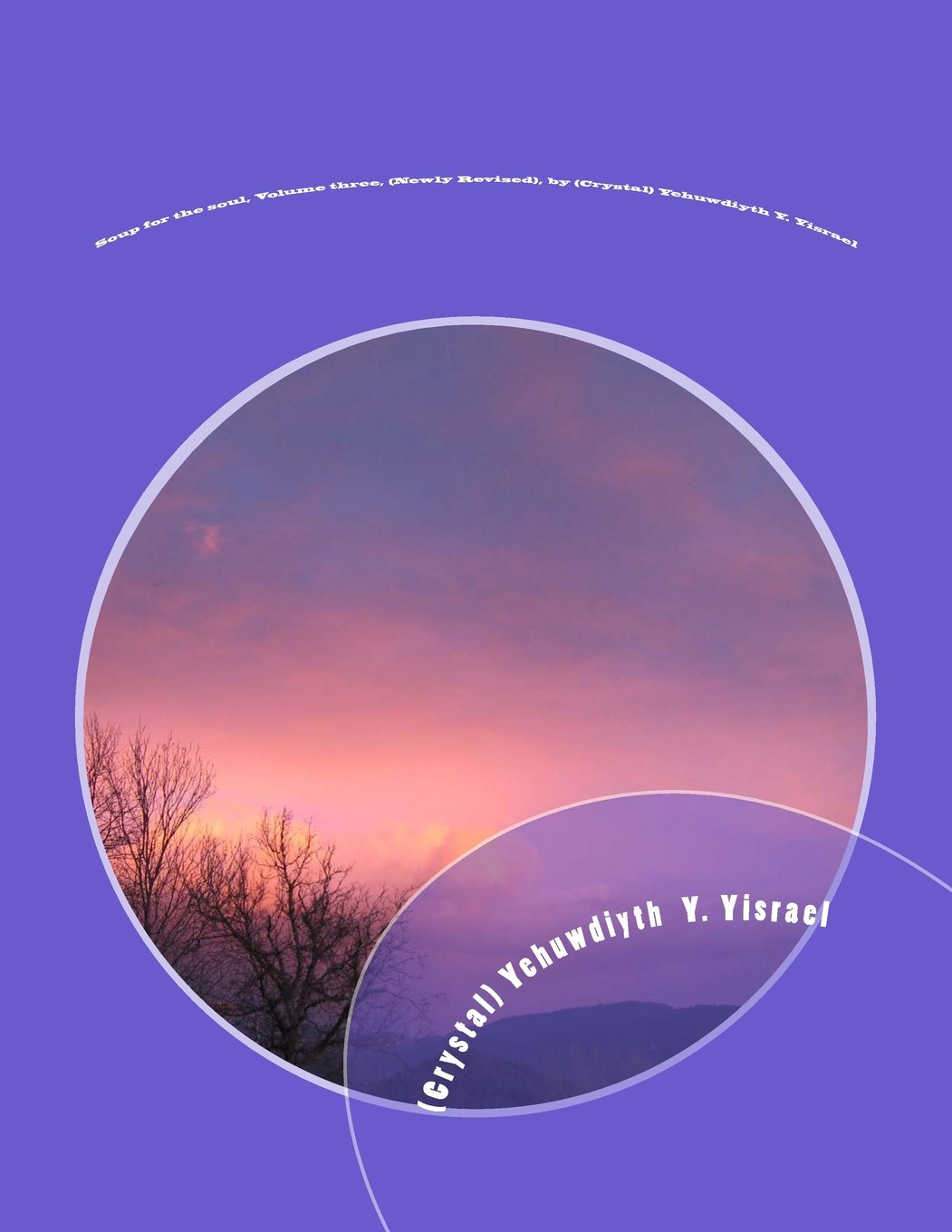Soup for the soul, Volume three, (Newly Revised), by (Crystal) Yehuwdiyth Y. Yis: Soup for the soul, Volume three, (Newly Revised), by (Crystal) ... soul, Volume three, (New Revised), Band 3) Poetry