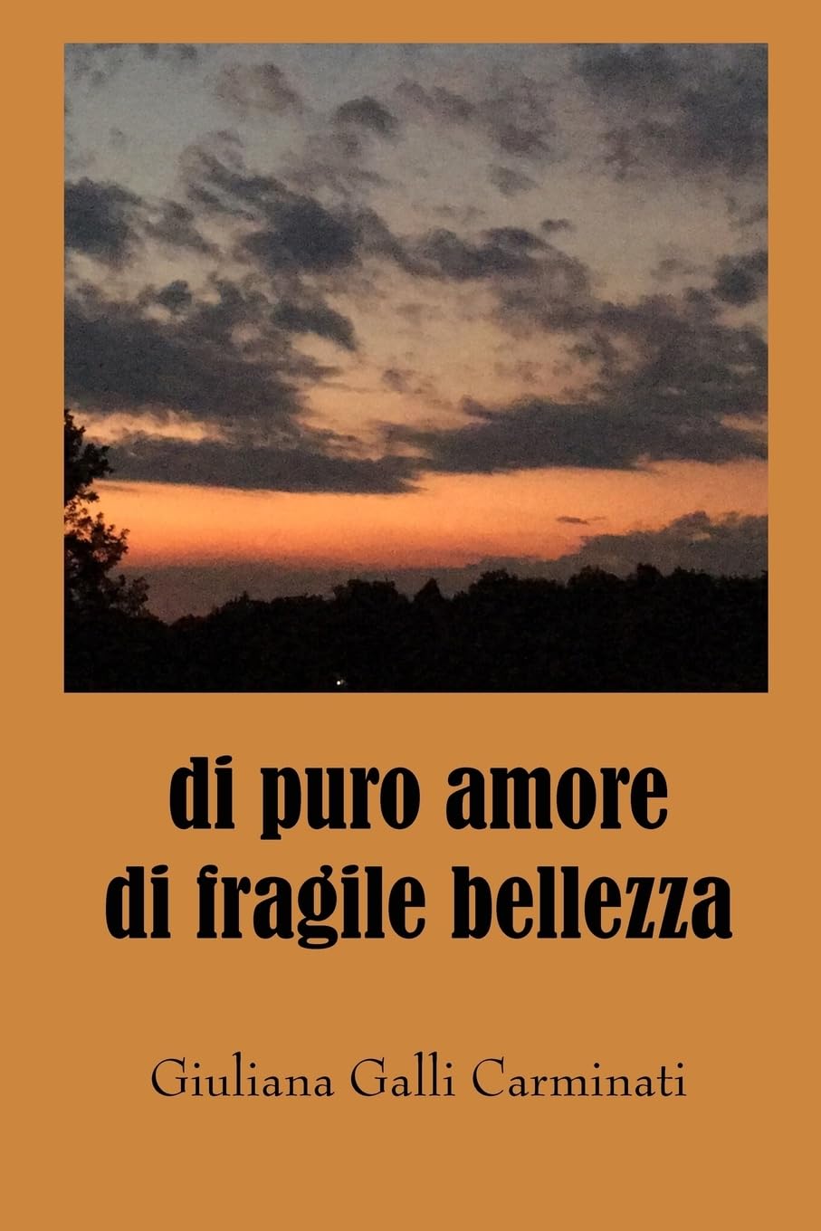 di puro amore di fragile bellezza book