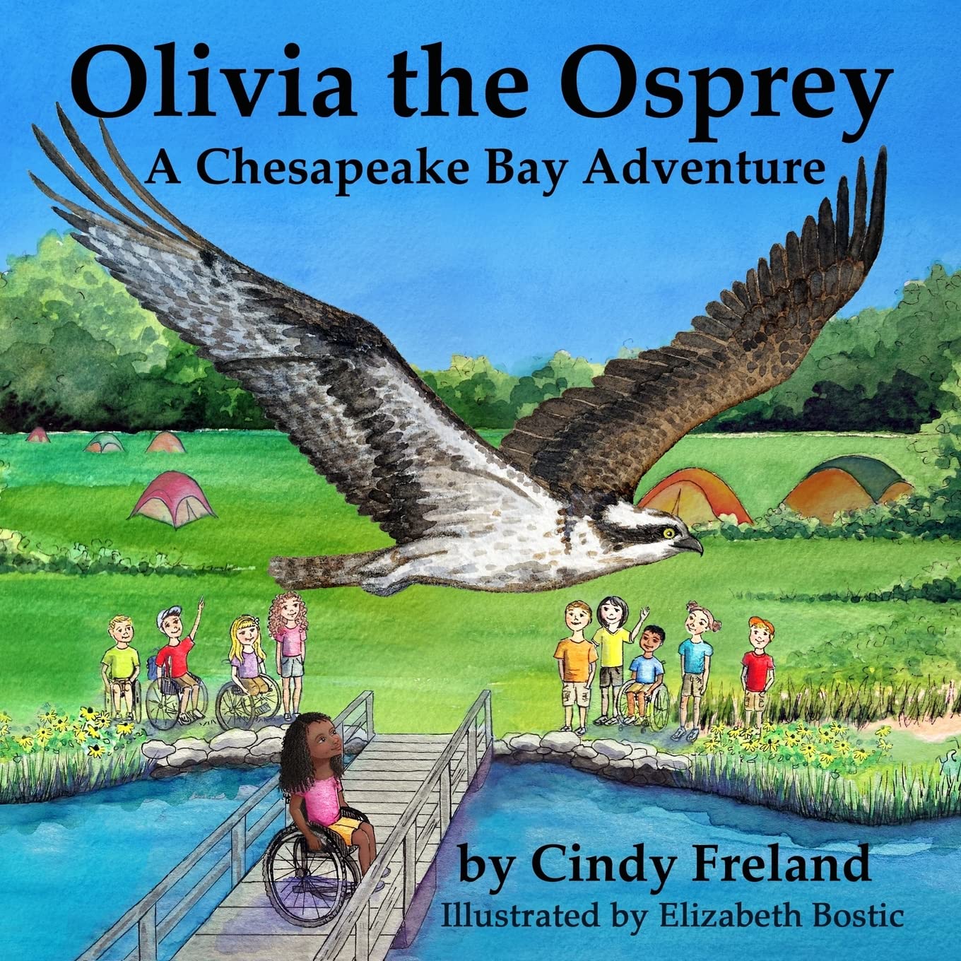 Olivia the Osprey: A Chesapeake Bay Adventure Novels & Short Stories