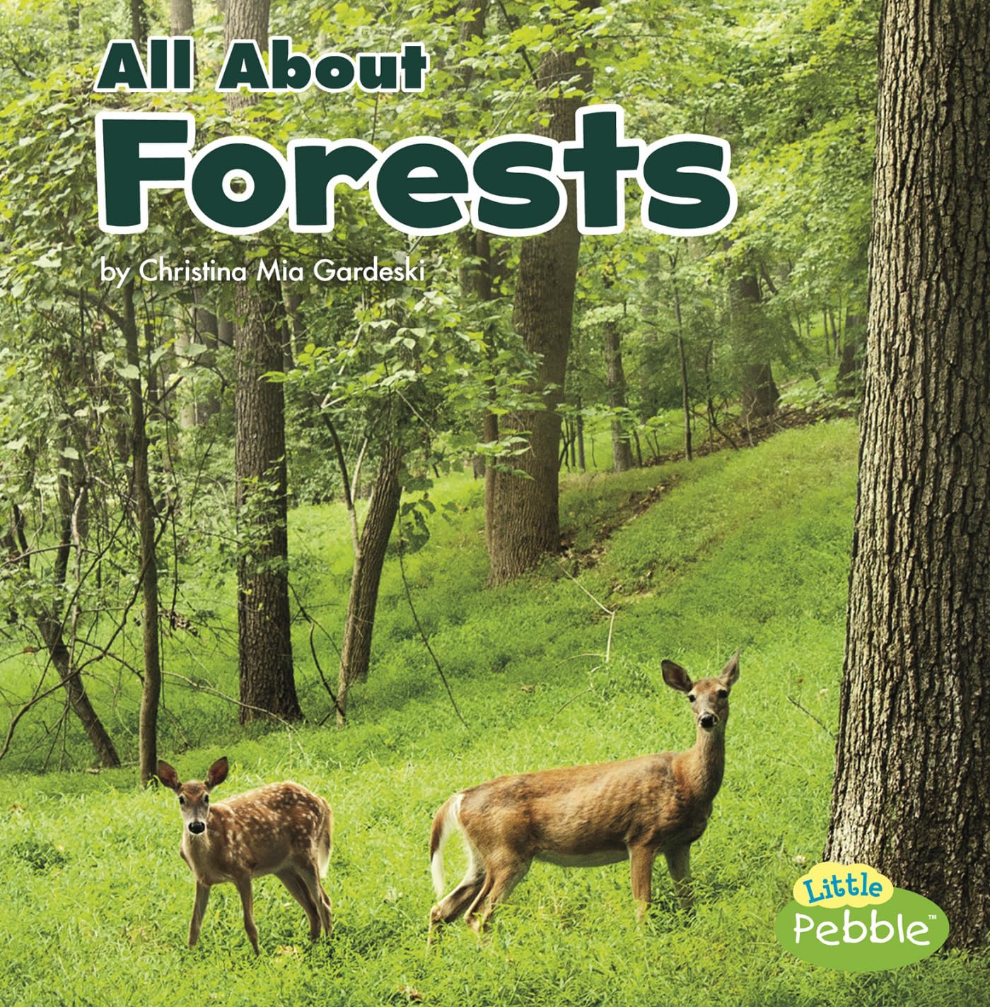 All about Forests (Habitats) Non-fiction