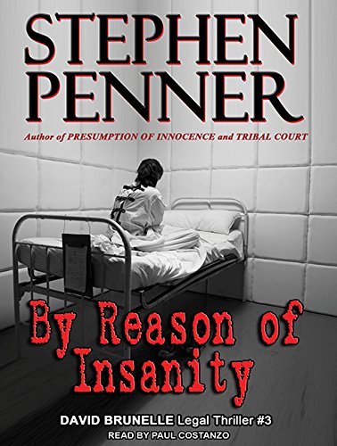 By Reason of Insanity (David Brunelle Legal Thriller, Band 3) Contemporary literature