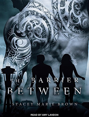 The Barrier Between (Collector, Band 2) Contemporary literature