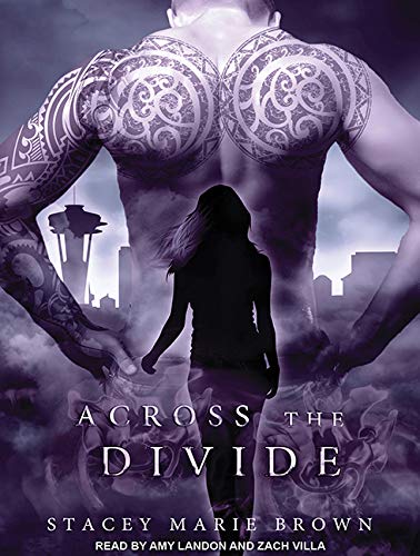 Across the Divide (Collector, Band 3) Contemporary literature