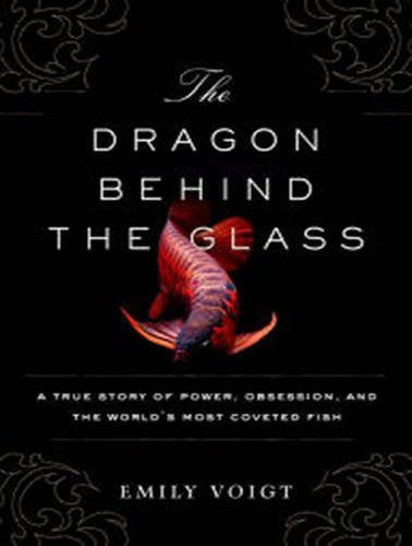 The Dragon Behind the Glass: A True Story of Power, Obsession, and the World's Most Coveted Fish Mathematics