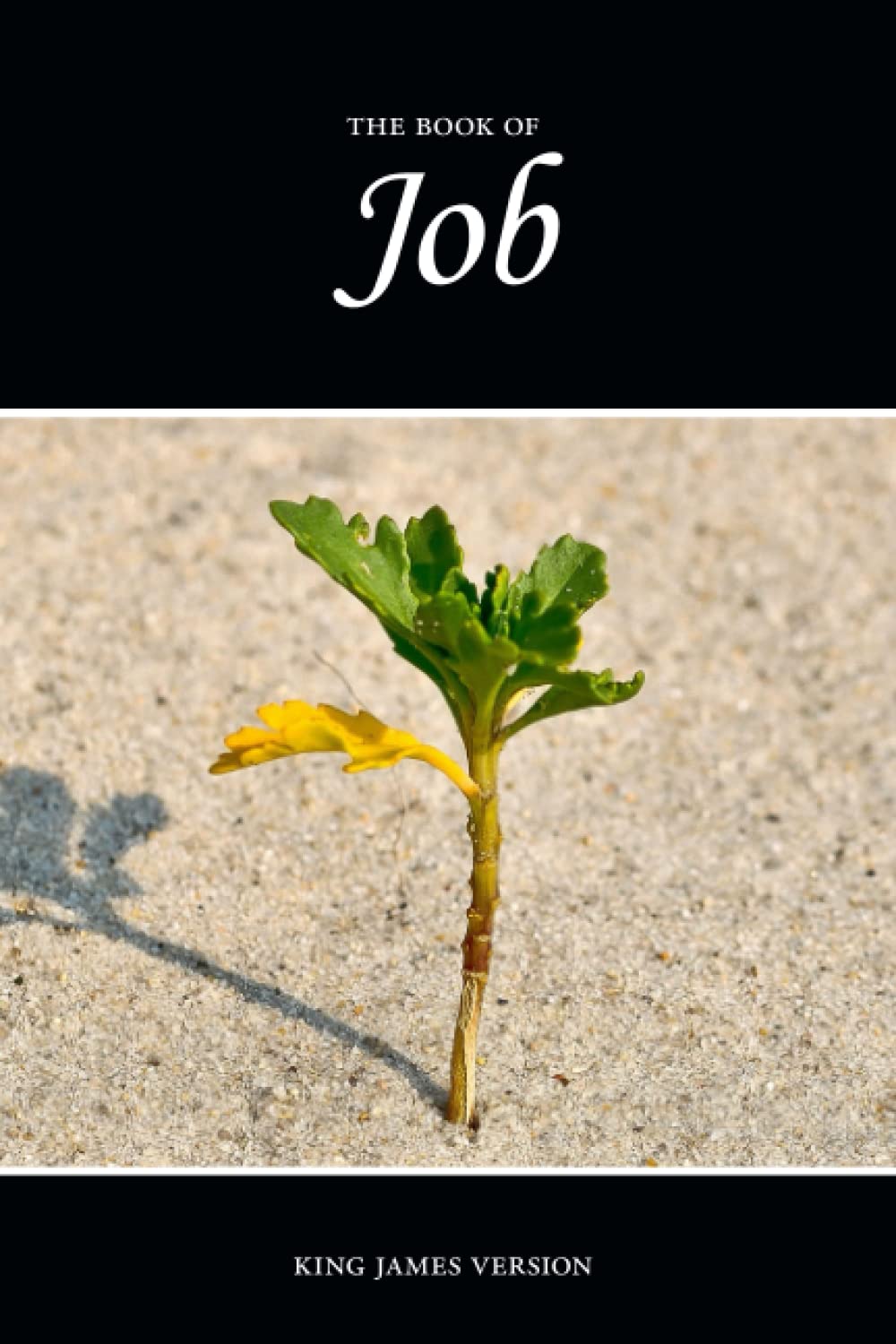 The Book of Job (KJV) (The Holy Bible, King James Version, Band 18) Religion & Esotericism
