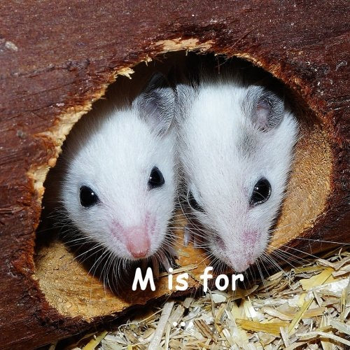 Product Image: M is for ...: A Learning My Alphabet Book