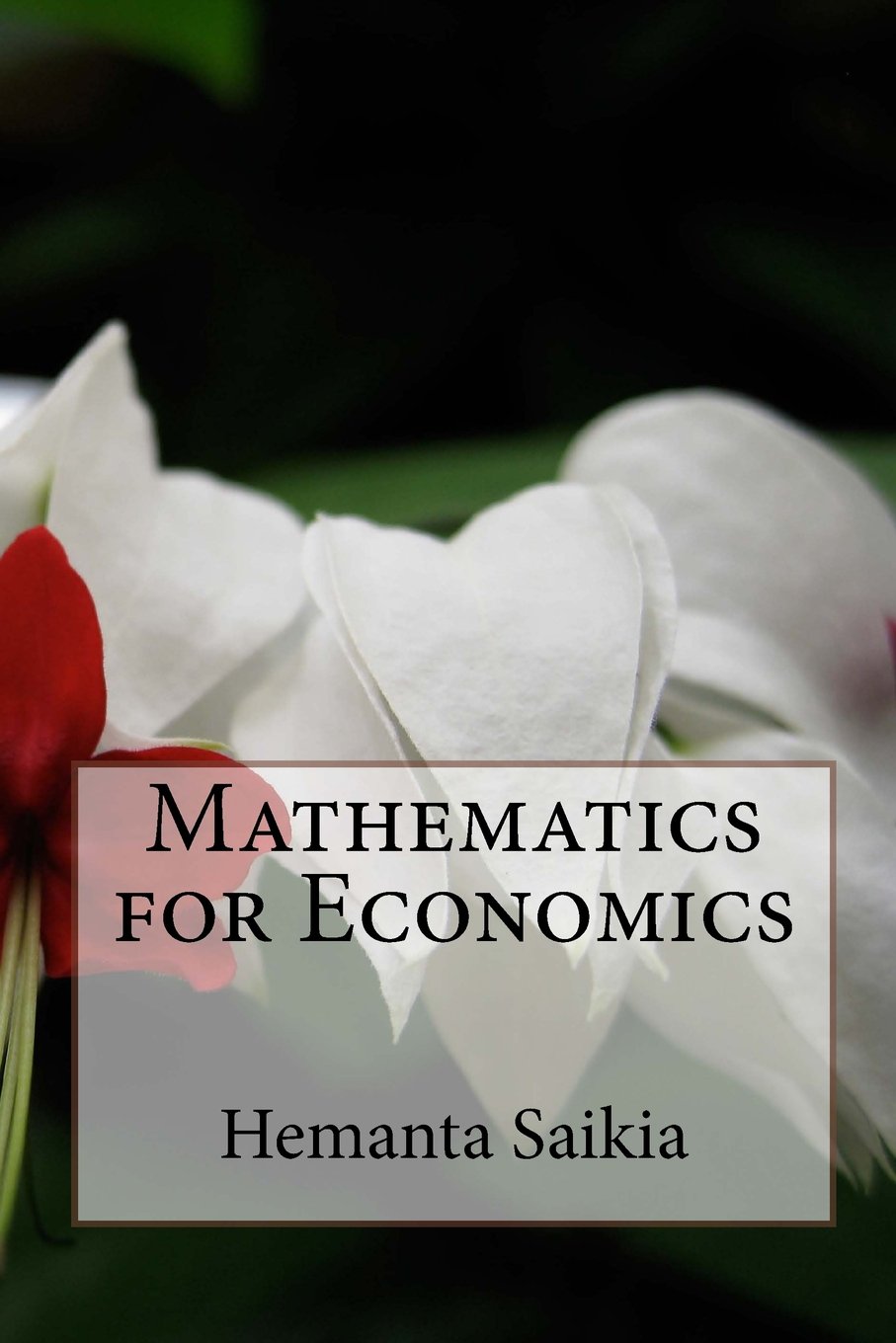 Mathematics for Economics (Series, Band 1) Business, Finance & Career