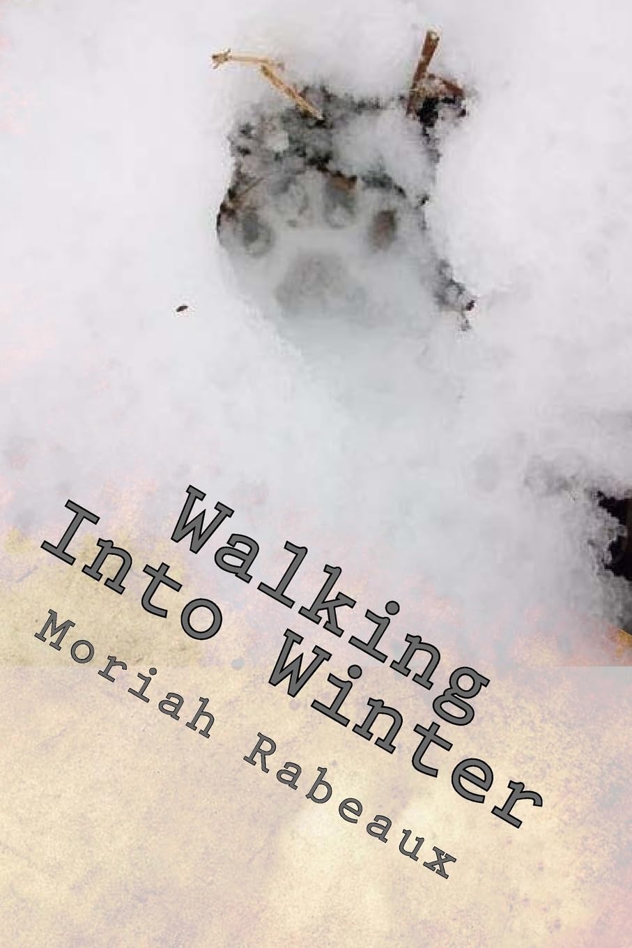 Walking Into Winter: Writing to Warm the Frostbitten Soul Poetry