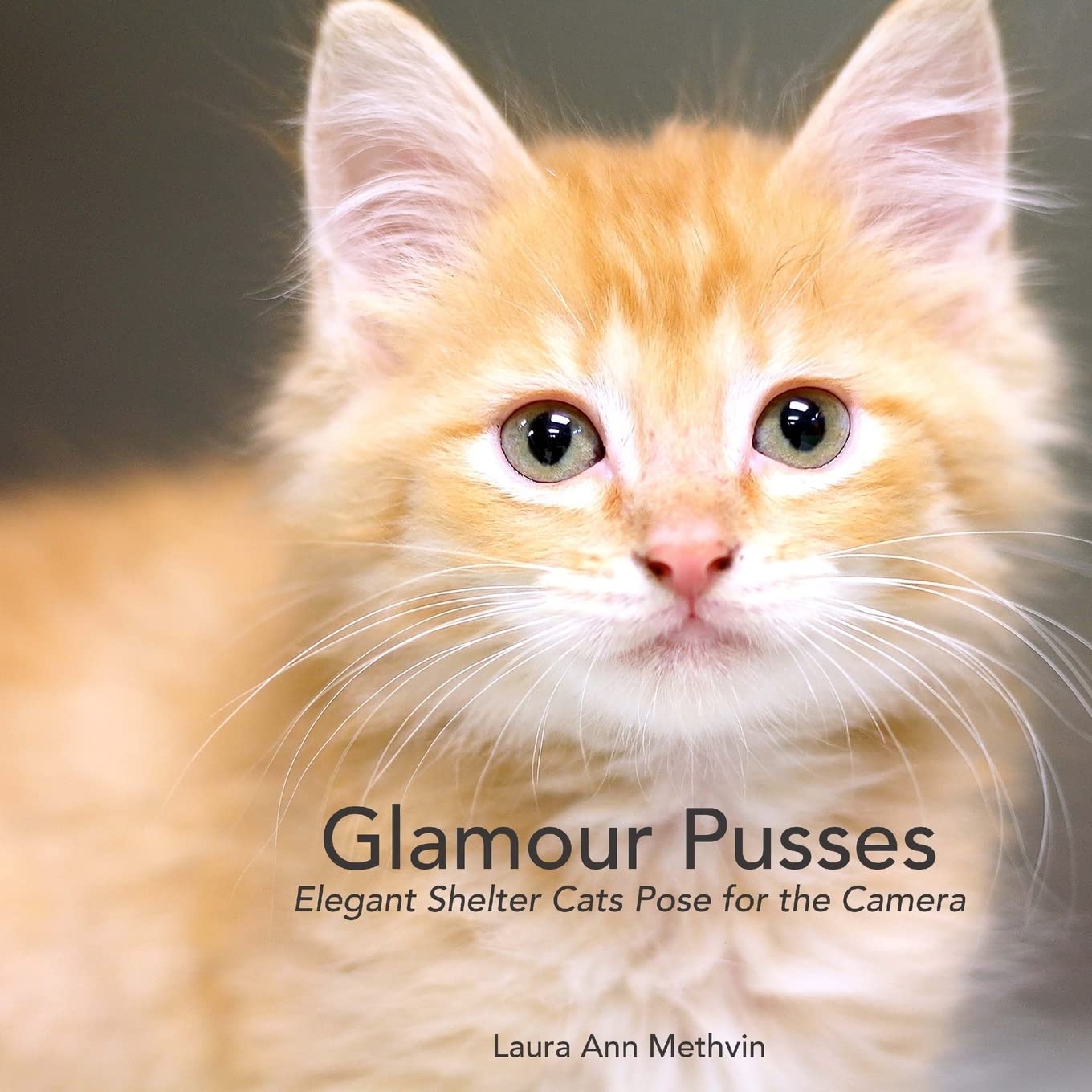 Glamour Pusses Books