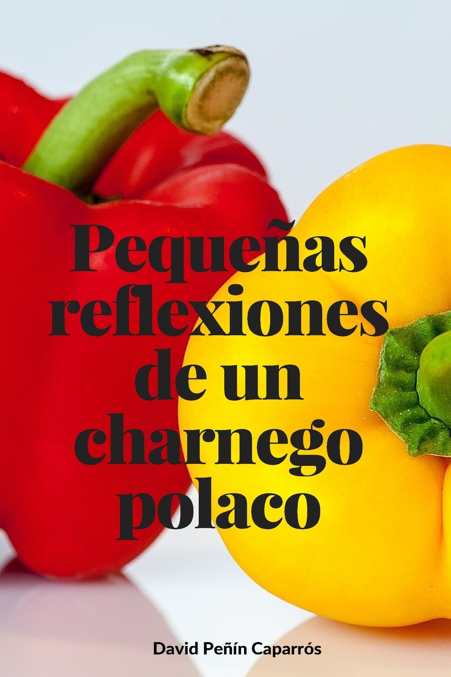 Peque/as reflexiones de un charnego polaco Philosophy