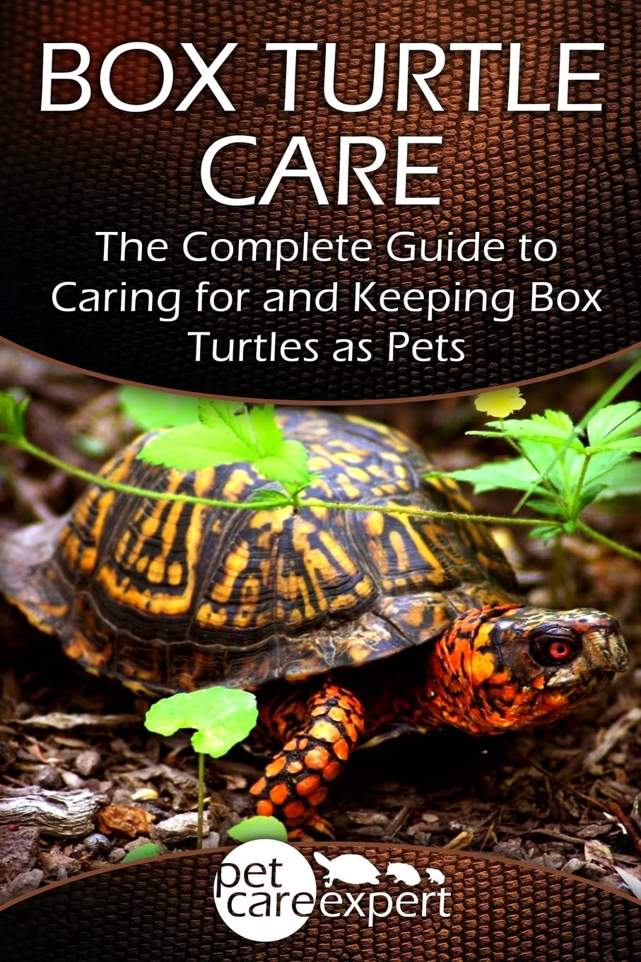 Box Turtle Care: The Complete Guide to Caring for and Keeping Box Turtles as Pets (Pet Care Expert, Band 1) Pets