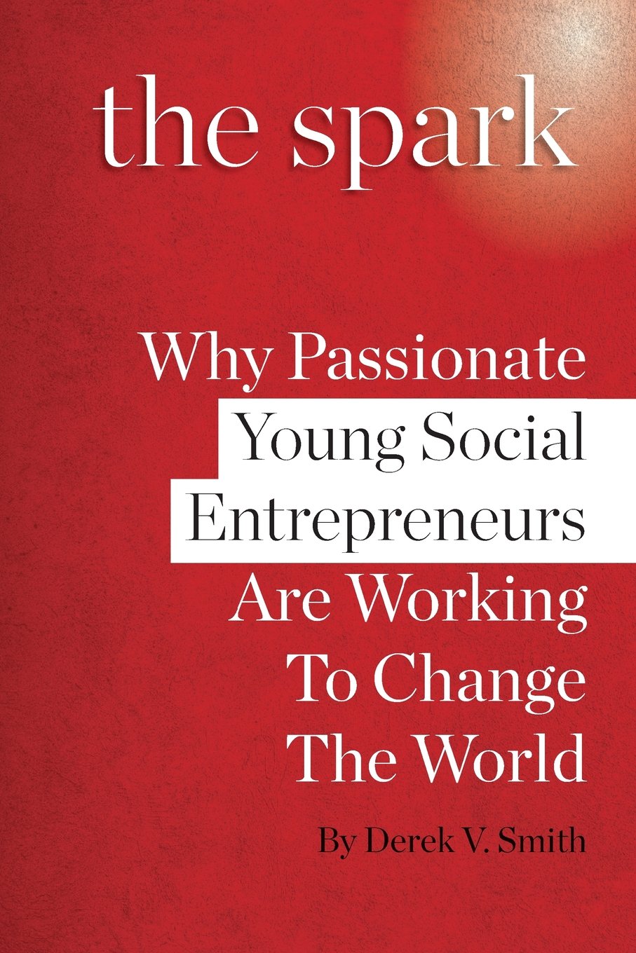The Spark - black and white version: Why Passionate Young Social Entrepreneurs Are Working To Change The World Social Sciences